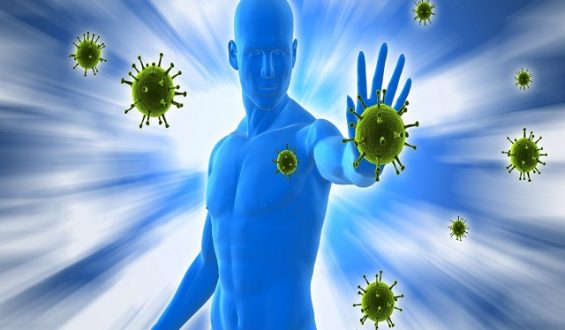 Health: Improve the immune system