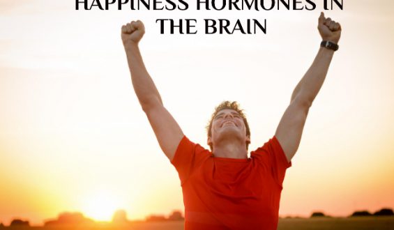 LUCK IN THE GAME, HAPPINESS HORMONES IN THE BRAIN