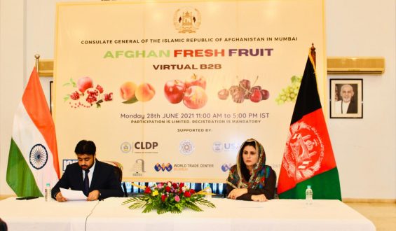 Afghan Fruit Digital Enterprise Matchmaking Occasion Hosted in India